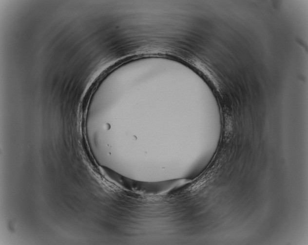 X0000097801124200804041308