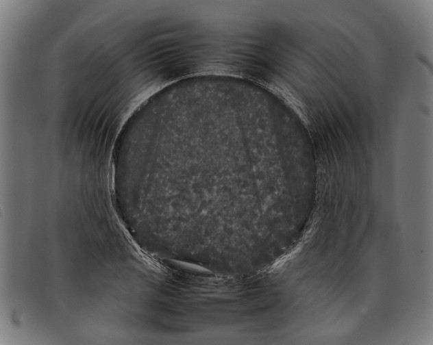 X0000097801125200804041308