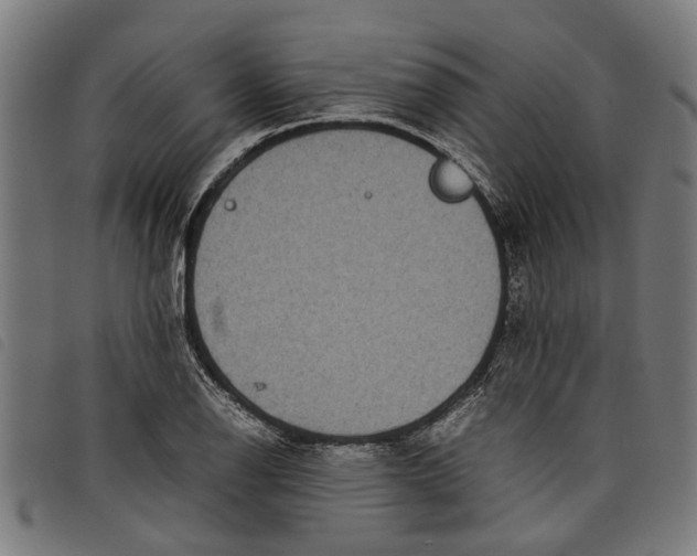 X0000097801126200804041308