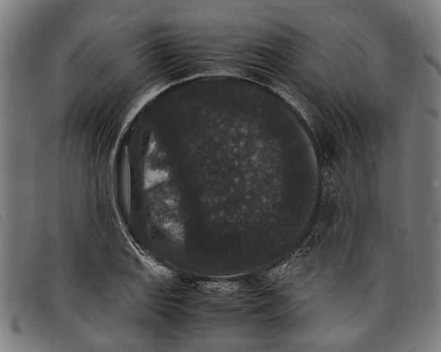 X0000097801127200804041308