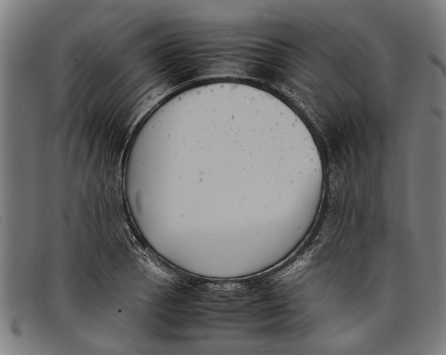 X0000097801129200804041308