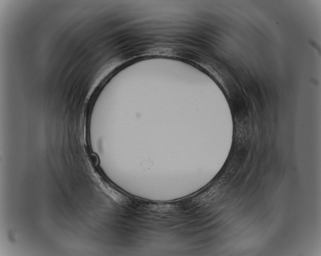 X0000097801131200804041308