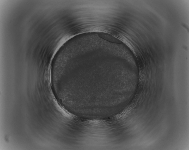 X0000097801132200804041308