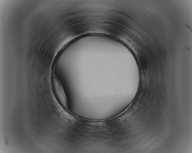 X0000097801133200804041308