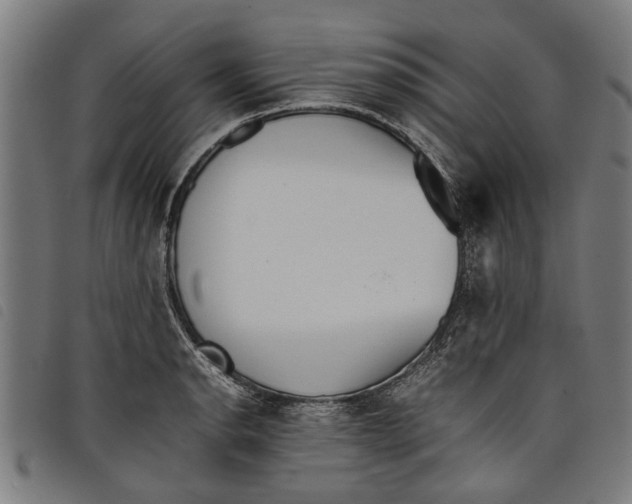 X0000097801134200804041308