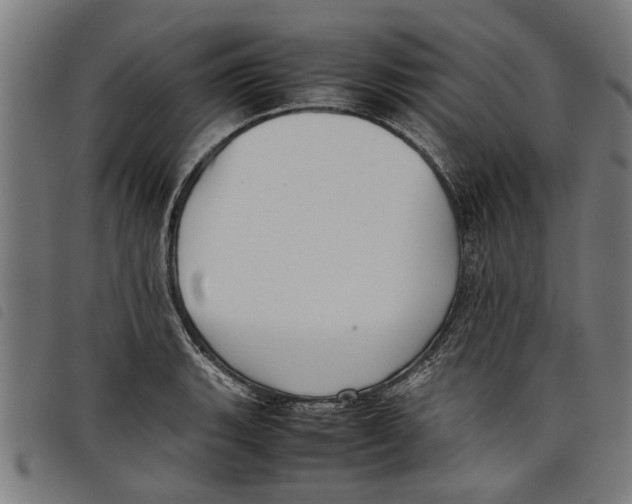 X0000097801135200804041308