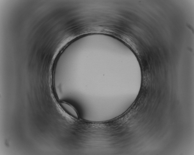 X0000097801136200804041308