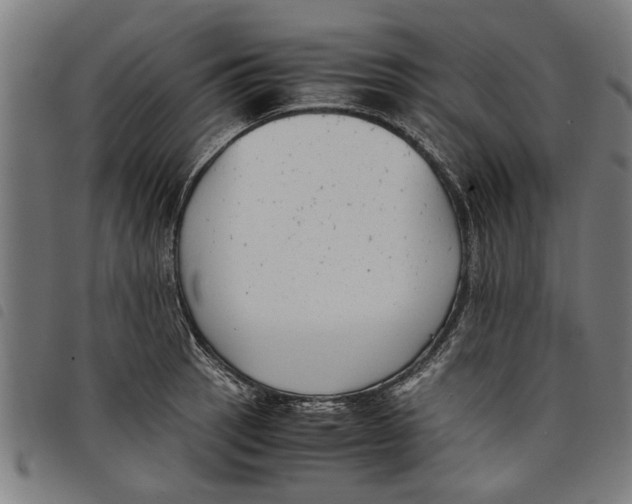 X0000097801137200804041308