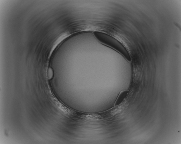 X0000097801138200804041308