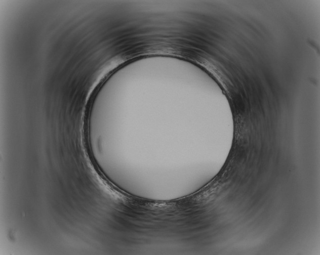 X0000097801139200804041308