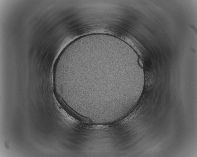 X0000097801140200804041308