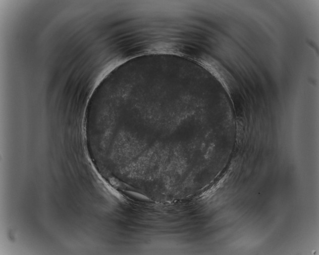 X0000097801141200804041308