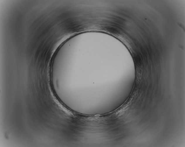 X0000097801142200804041308