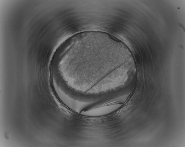 X0000097801144200804041309