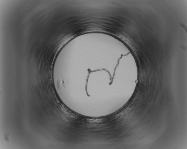 X0000097801145200804041309