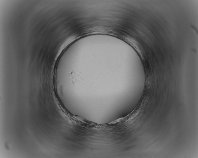 X0000097801146200804041309