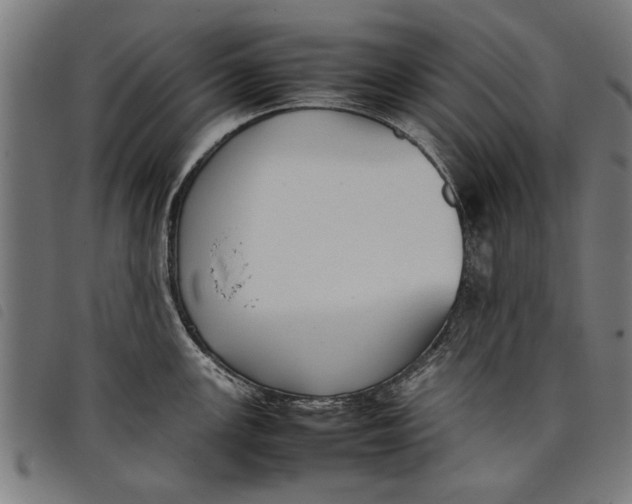 X0000097801147200804041309