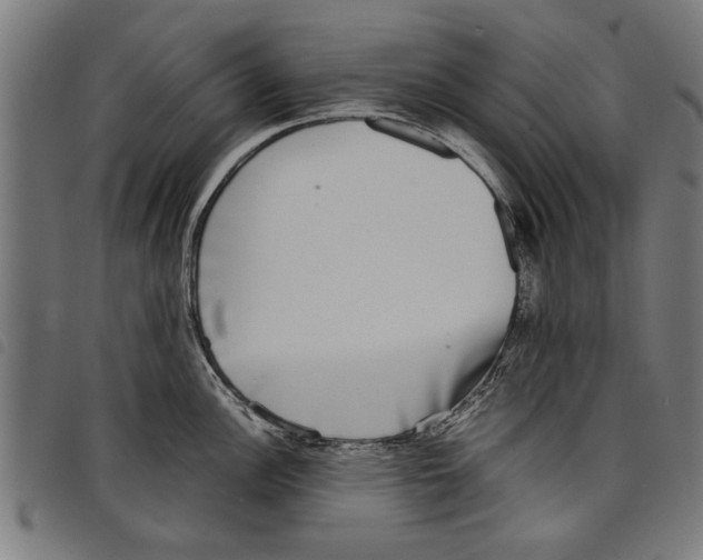 X0000097801148200804041309