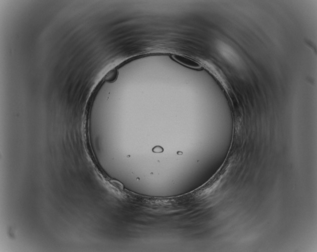 X0000097801149200804041309