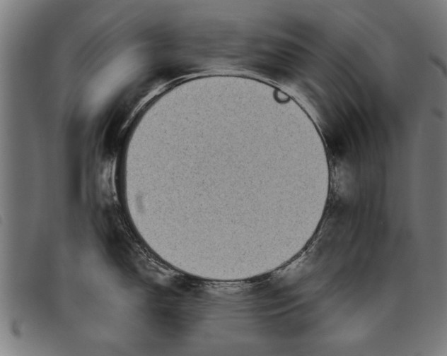 X0000097801150200804041309