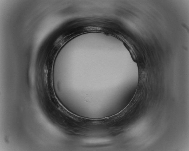 X0000097801151200804041309