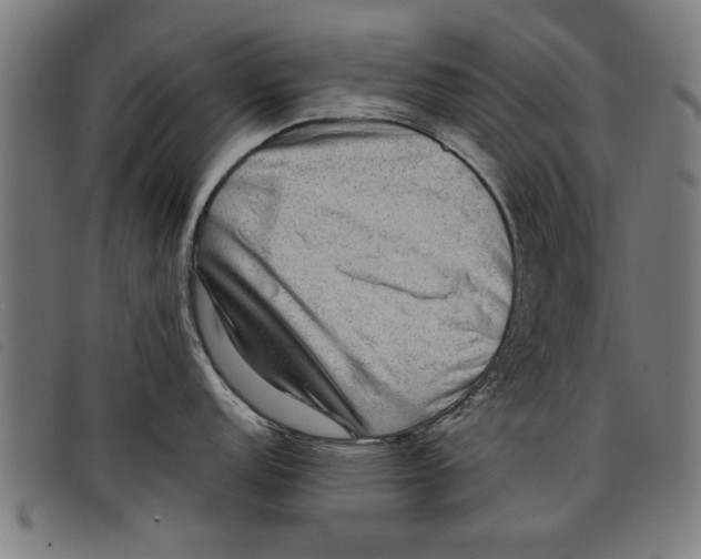 X0000097801152200804041309