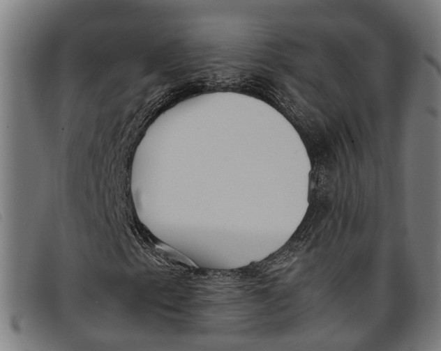 X0000097801153200804041308