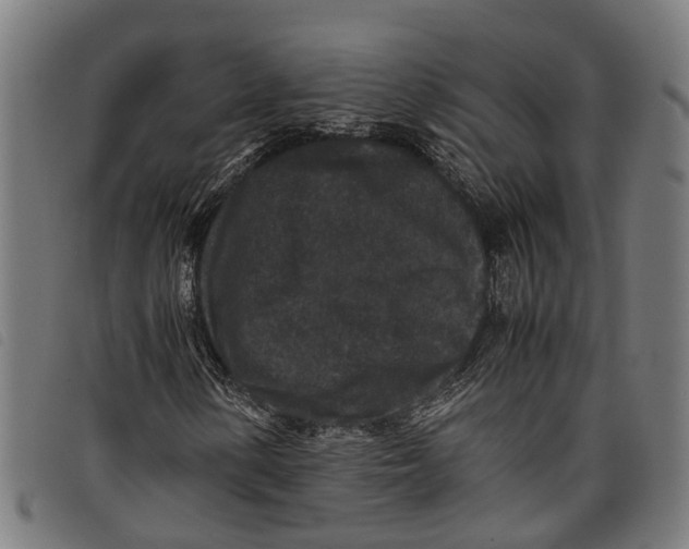 X0000097801154200804041308