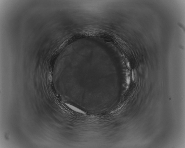 X0000097801155200804041308