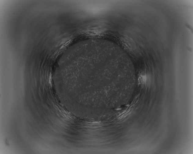 X0000097801156200804041308