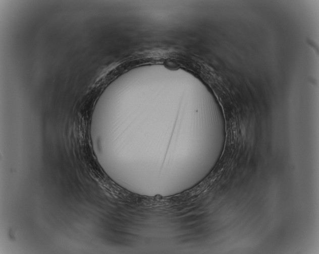 X0000097801158200804041308