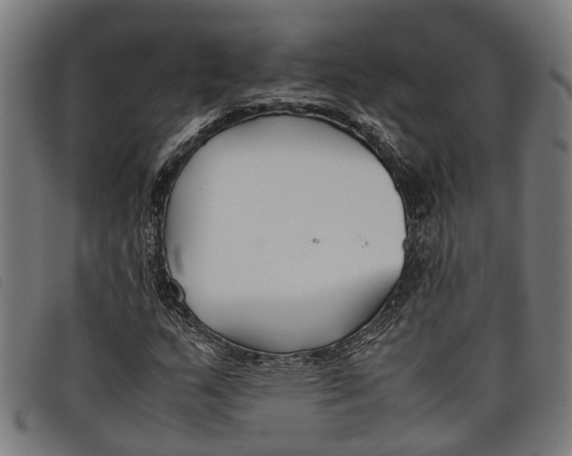 X0000097801159200804041308