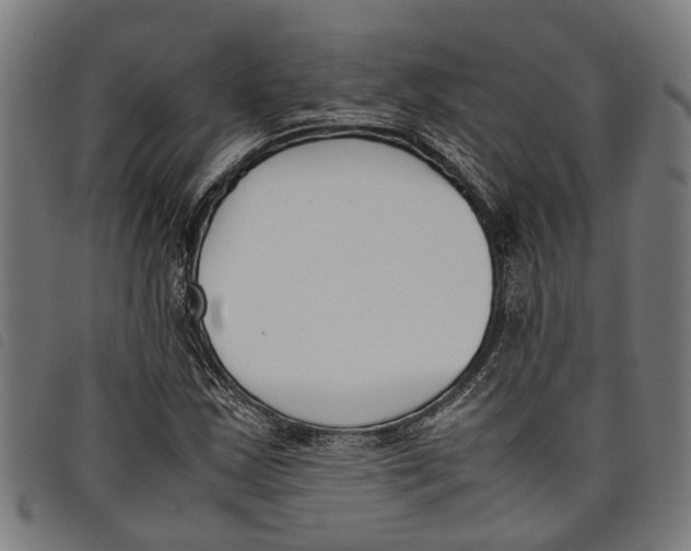 X0000097801163200804041308