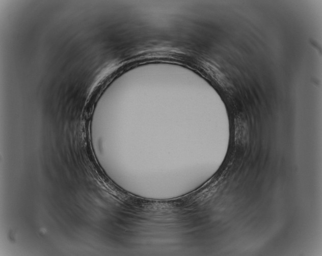 X0000097801164200804041308