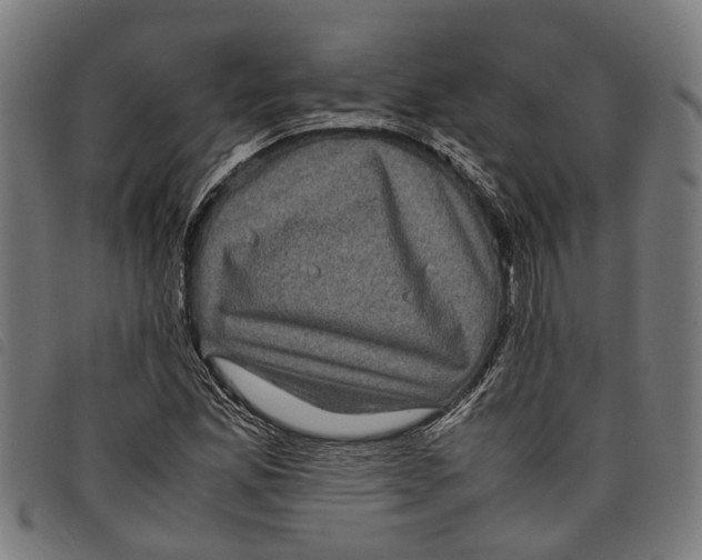 X0000097801165200804041308