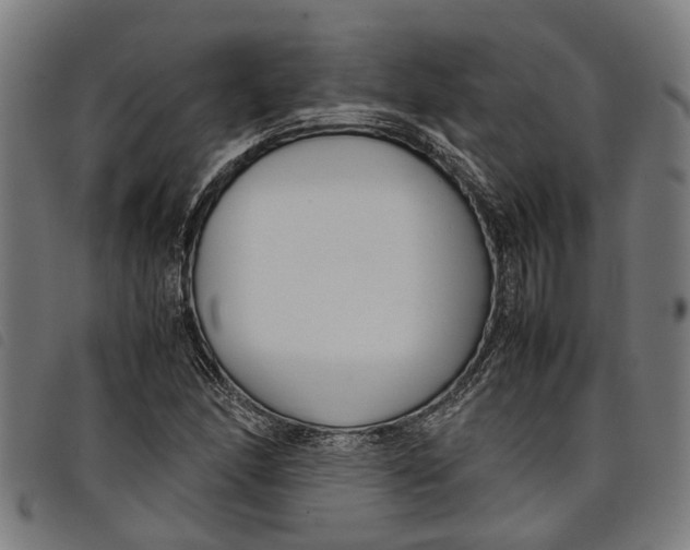 X0000097801166200804041308