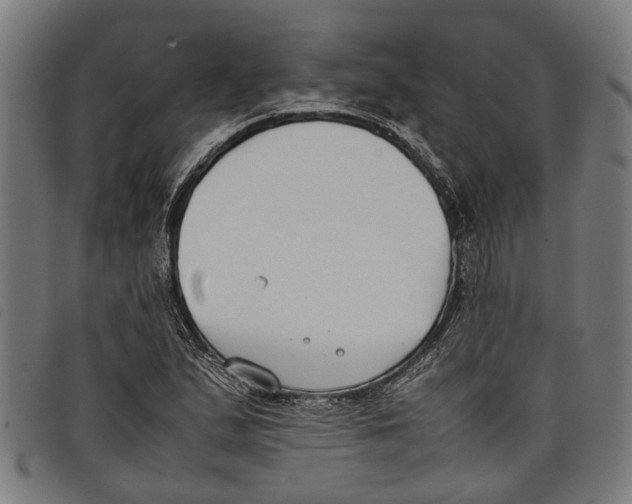 X0000097801167200804041308