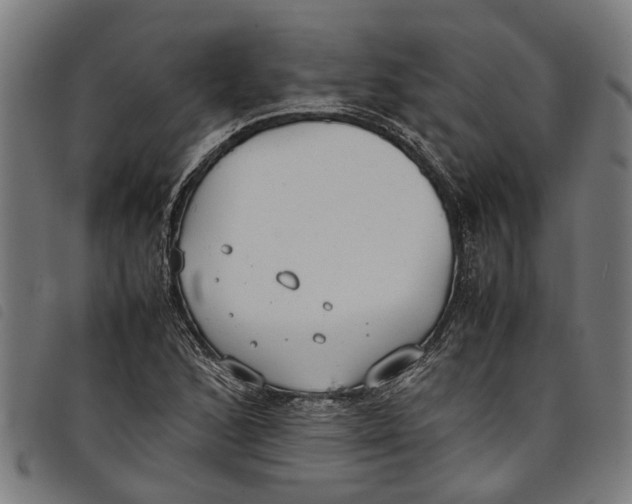 X0000097801168200804041308