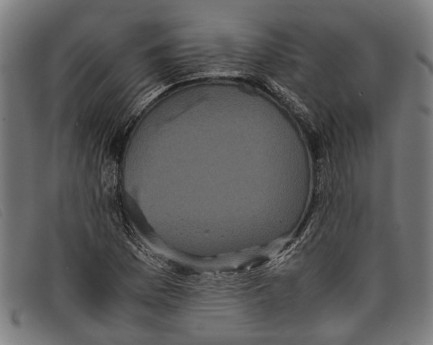 X0000097801169200804041308