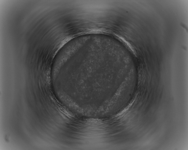 X0000097801170200804041308