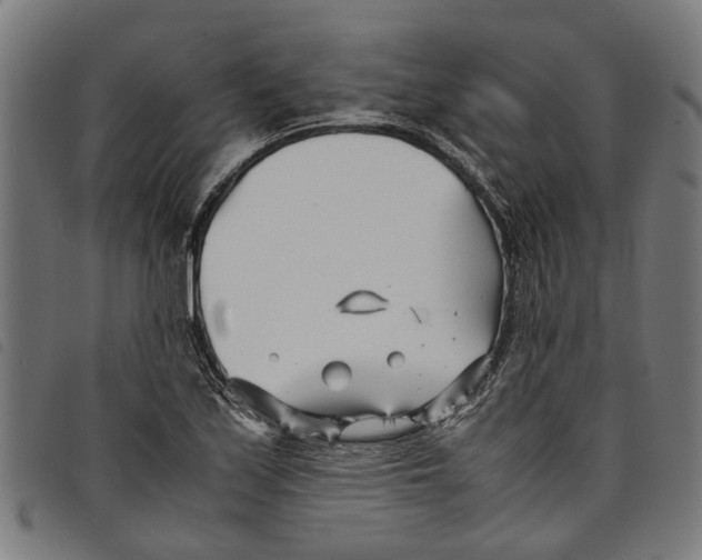 X0000097801171200804041308