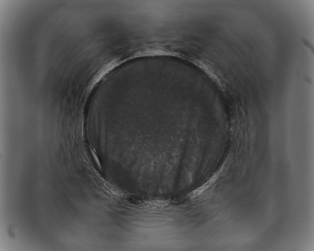 X0000097801173200804041308