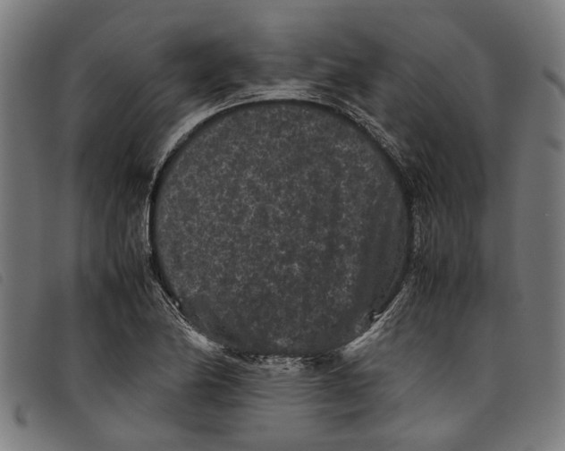 X0000097801174200804041308