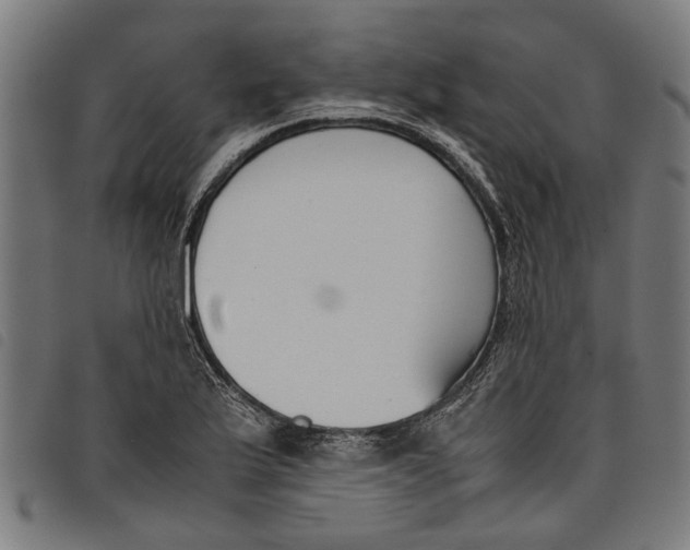 X0000097801175200804041308