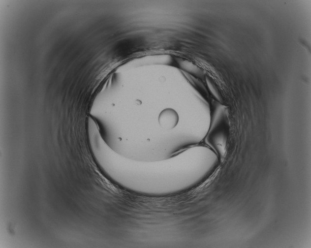 X0000097801177200804041308