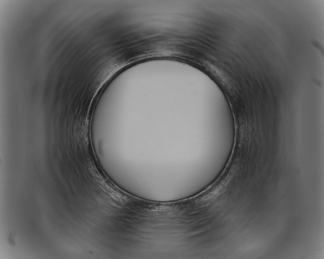 X0000097801178200804041308