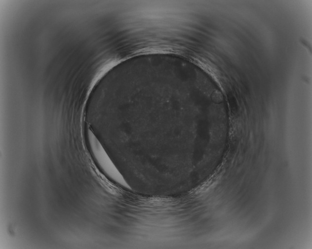 X0000097801179200804041308