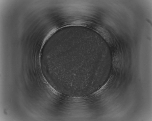 X0000097801180200804041308