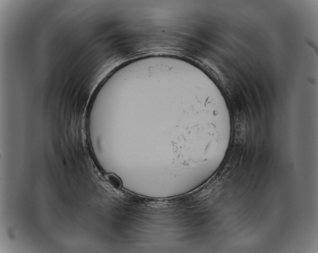 X0000097801182200804041308