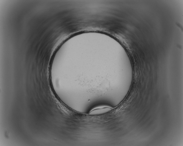 X0000097801183200804041308